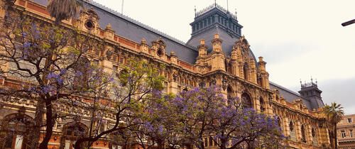 government building in buenos aires flowers flag