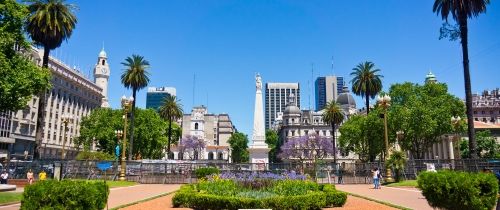 palm trees and buildings in buenos aires sunny day