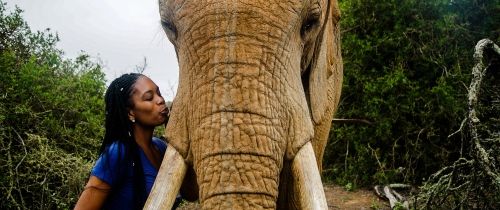 Cape Town girl kissing elephant