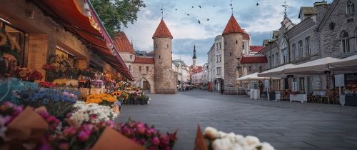 Tallinn castle flowers