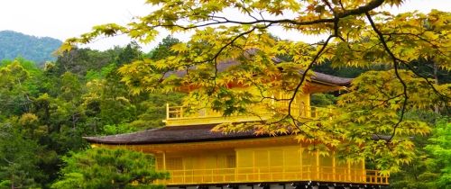 yellow temple kyoto japan