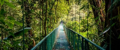 bridge costa rica monteverde