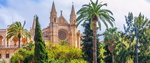 downtown mallorca spain building palm trees