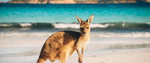 Sydney