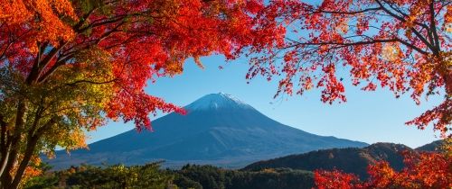 tokyo mountain leaves autumn