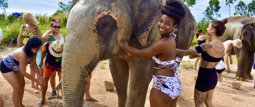 Teach Abroad participant posing with elephant