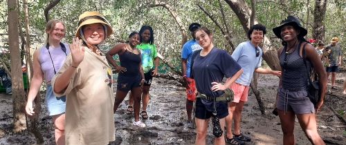 Monteverde_mangroves_field trip to Isla Chira