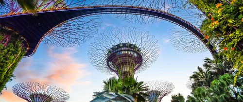 singapore-supertree-grove-sunset