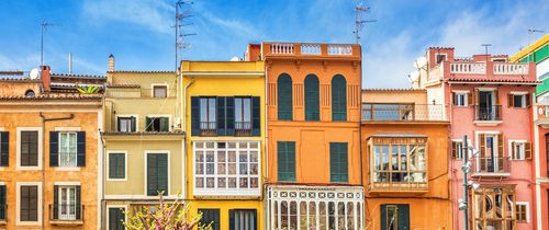 Palma