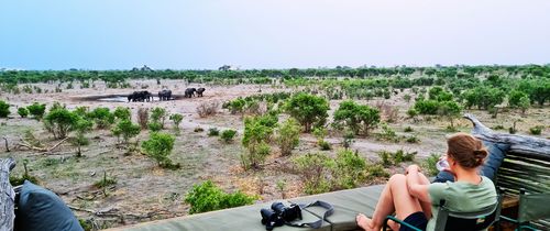 gaborone-man-watching-elephant-herd