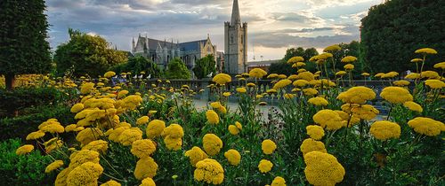 st-patrick_s-park-dublin-ireland.jpg