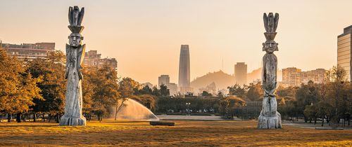 santiago-ch-traditional-mapuche-sculptures