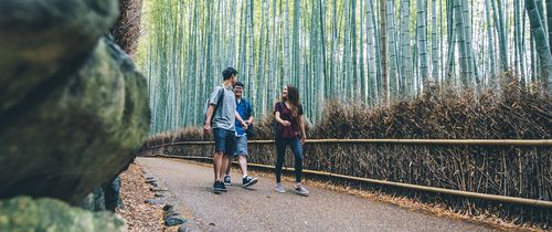 kyoto-students-walking-arashiyama-bamboo-forest