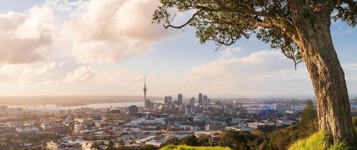 auckland-landscape-on-sunny-day.jpg