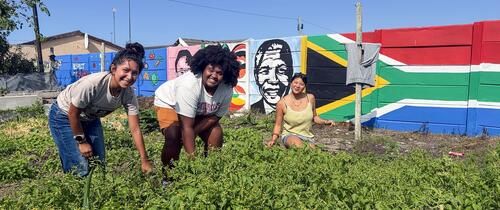 cape-town-ccii-students-volunteering-community-garden