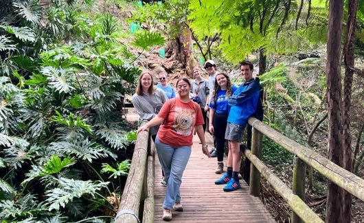 sydney students explore jungle in australia