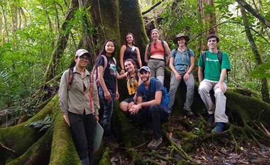 students in rainforest study abroad ecology