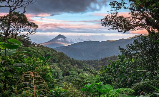 Monteverde