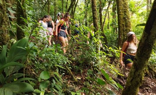 Monteverde hike