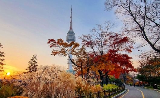 seoul tower fall sunset