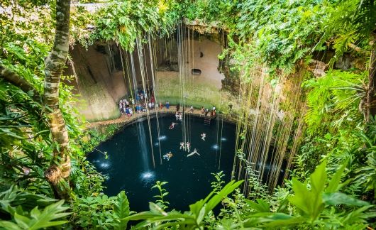 yucatan cenote water plants