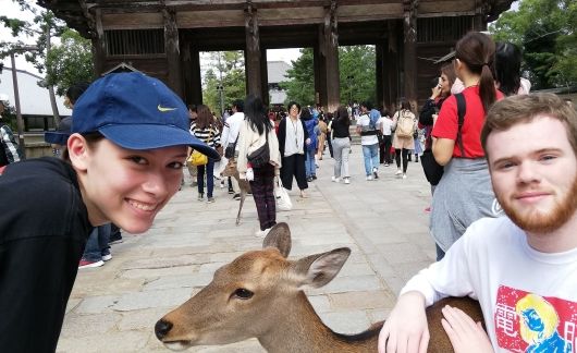 Students posing with a deer in a park in Japan