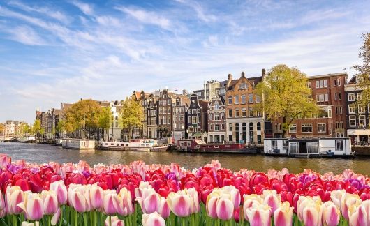amsterdam-tulips-river