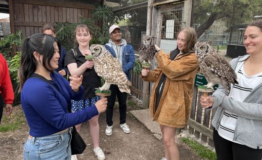 students hold owls abroad in cape town