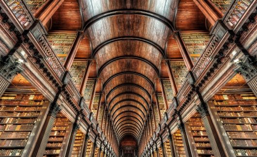 dublin library ceiling books