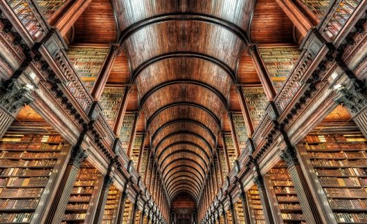 dublin library ceiling books