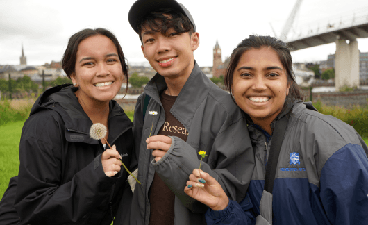 fdgf flower picking abroad