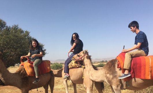 High school students on camels in the desert