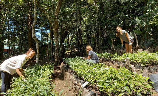 student farmers monteverde costa rica study abroad