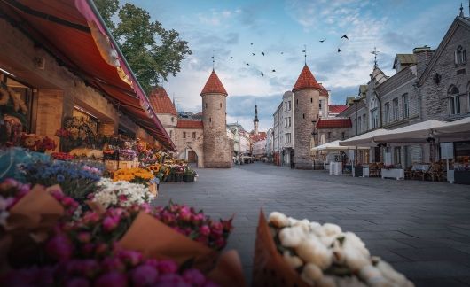 Tallinn castle flowers