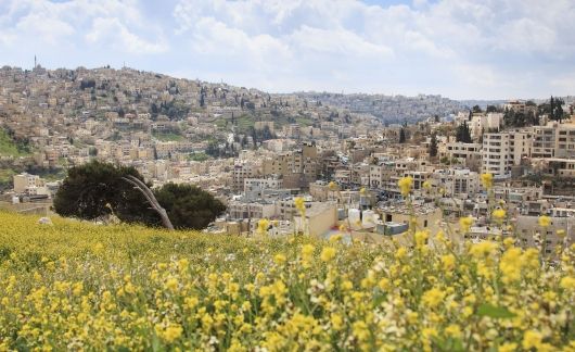 amman jordan flower view city