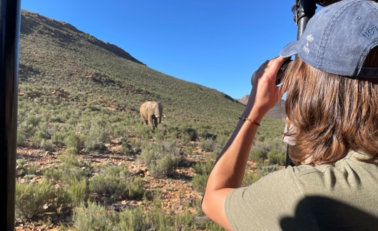 rhino safari tour study abroad