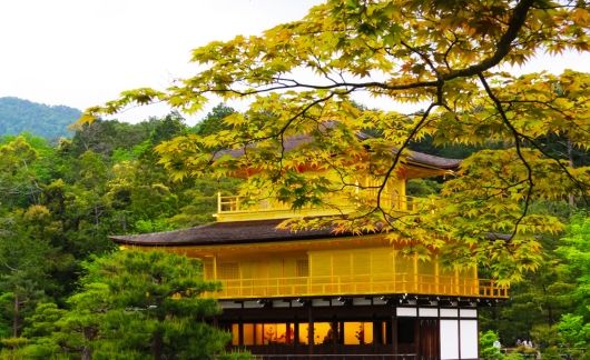 yellow temple kyoto japan