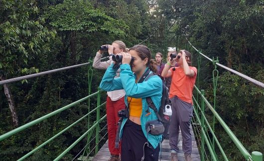 bridge binoculars students monteverde