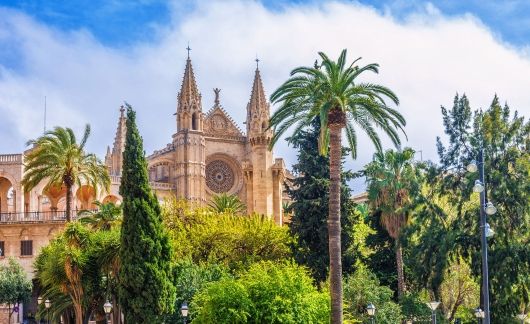 downtown mallorca spain building palm trees
