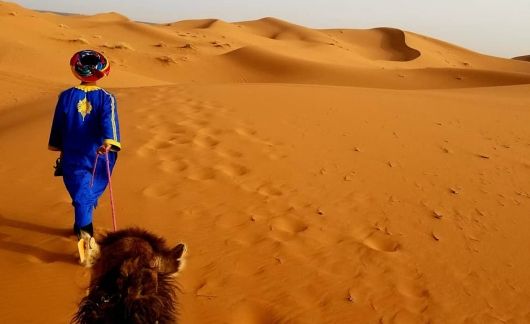 desert of morocco camel tour