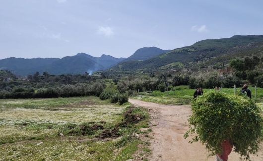 rabat students on a walking trail abroad