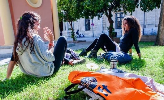 Seville students talking on grass