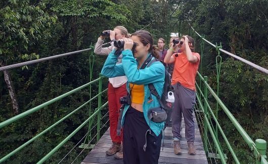 students abroad monteverde binoculars bridge