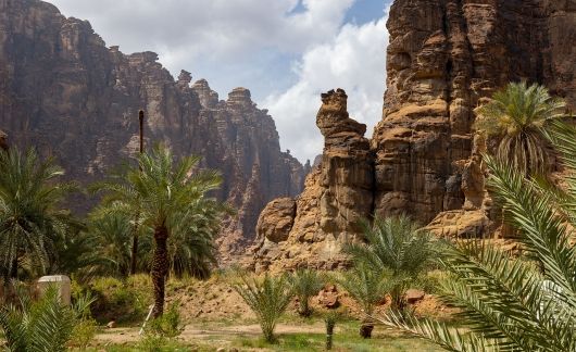 Green oasis in Saudi Arabia