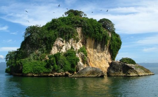 santiago dr island with birds