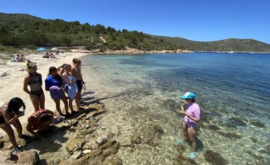 Mediterranean Marine Ecosystems & Sustainability 