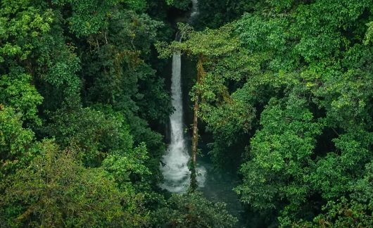 Monteverde Cloud Forest Biological Preserve costa rica.jpg