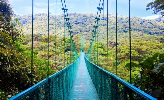 bridge shot