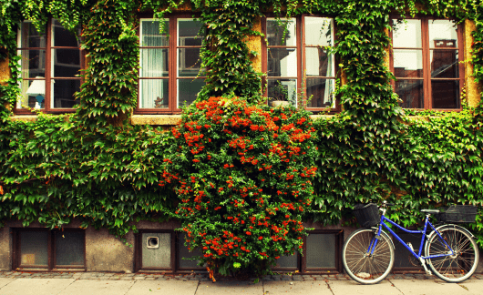 Bike resting in Copenhagen