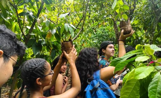 hssa santiago dr students walking through an organic cacao farm
